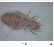游戏专题 第2页