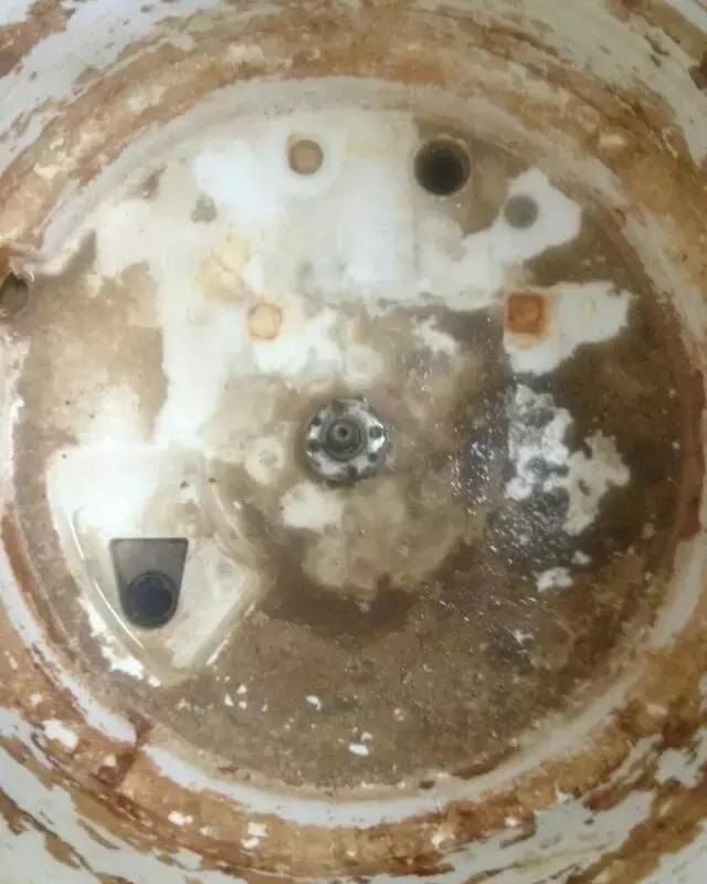鸡蛋真的越洗越脏吗揭秘真相，鸡蛋真的越洗越脏吗？