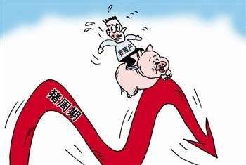 猪价超跌猪价超跌现象深度解析